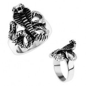Šperky eshop - Mohutný oceľový prsteň, lesklé ramená, patinovaný had - kobra HH9.3 - Veľkosť: 62 mm