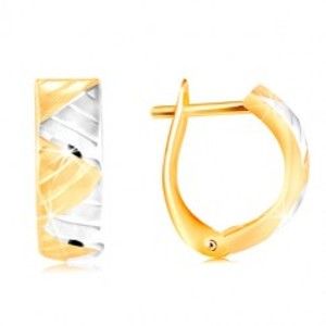 Šperky eshop - Náušnice v 14K zlate - oblúk s trojuholníkmi z bieleho a žltého zlata GG217.53