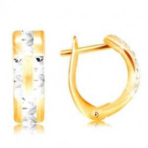 Šperky eshop - Náušnice zo 14K zlata - matný oblúk s ligotavými líniami z bieleho zlata GG217.08