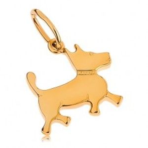 Šperky eshop - Prívesok v žltom 9K zlate - malý psík s gravírovaným obojkom GG45.04