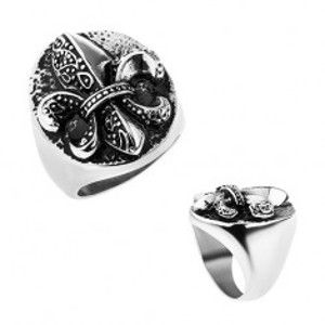 Šperky eshop - Prsteň z ocele, Fleur de Lis v ovále, strieborná farba, patina Z8.5 - Veľkosť: 63 mm