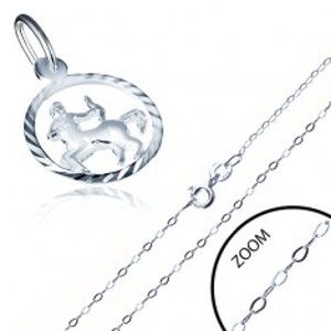 Šperky eshop - Strieborný náhrdelník 925 - jemná retiazka a prívesok znamenia STRELEC AA33.09
