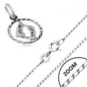 Šperky eshop - Strieborný náhrdelník 925 - lesklá retiazka, prívesok znamenia RYBY R40.25