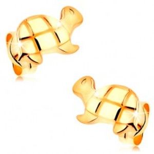 Zlaté puzetové náušnice 585 - lesklá korytnačka s gravírovanými detailmi