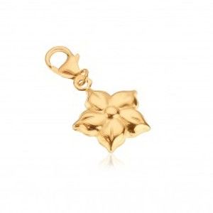 Šperky eshop - Zlatý prívesok 585 - lesklý rozkvitnutý päťlupeňový kvet GG10.18